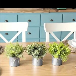 Potted plant decor